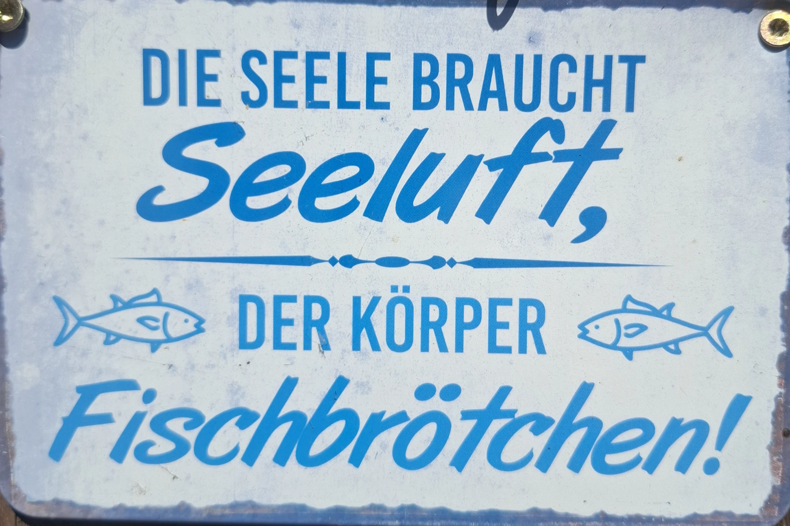 Tour zur Insel Poel im Mai 2025 Logo