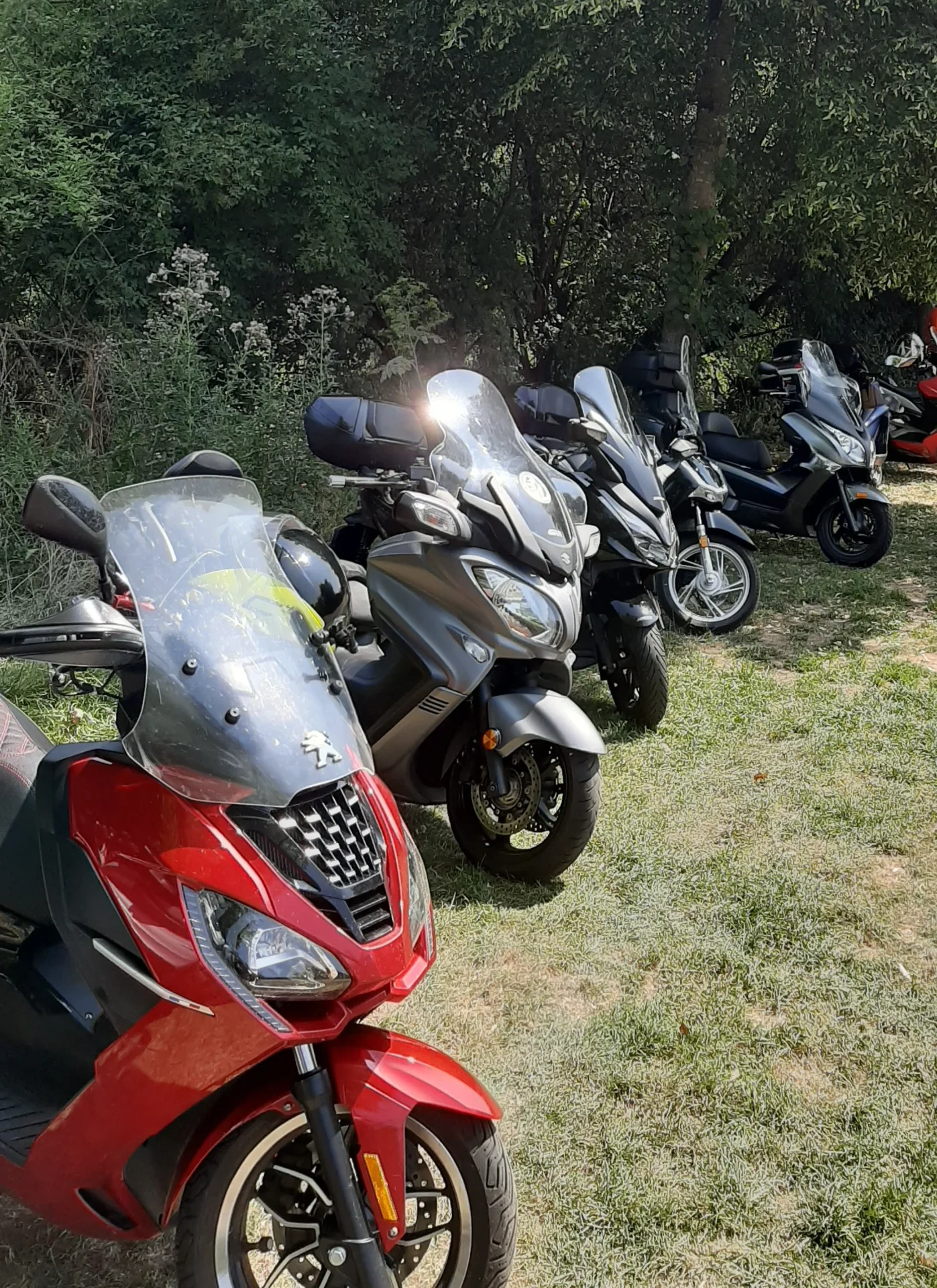 Gute Fahrt und bis zum nächsten Mal