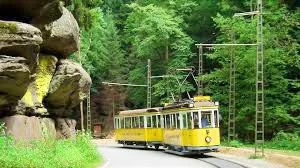 Kirnitzschtal Straßenbahn im Wald