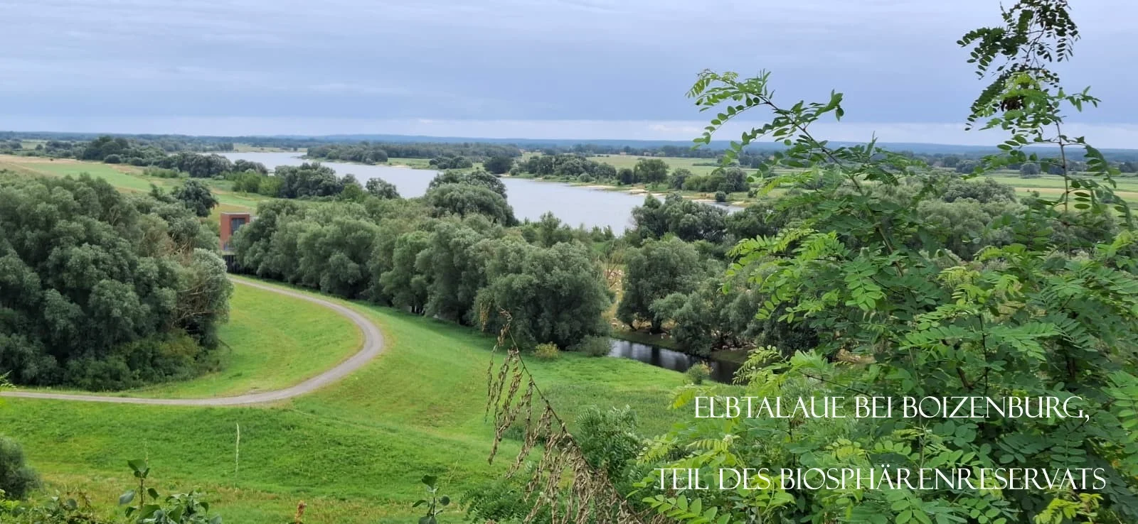 Blick auf die Elbtalaue bei Boizenburg, Teil des Biosphärenreservats